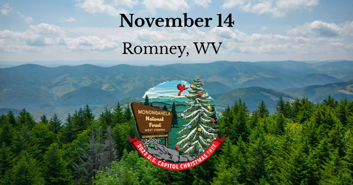 U.S. Capitol Christmas Tree Celebration