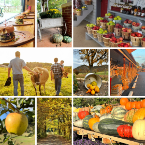 Hampshire County Fall Crawl 2024 with local farm activities and artisan markets.